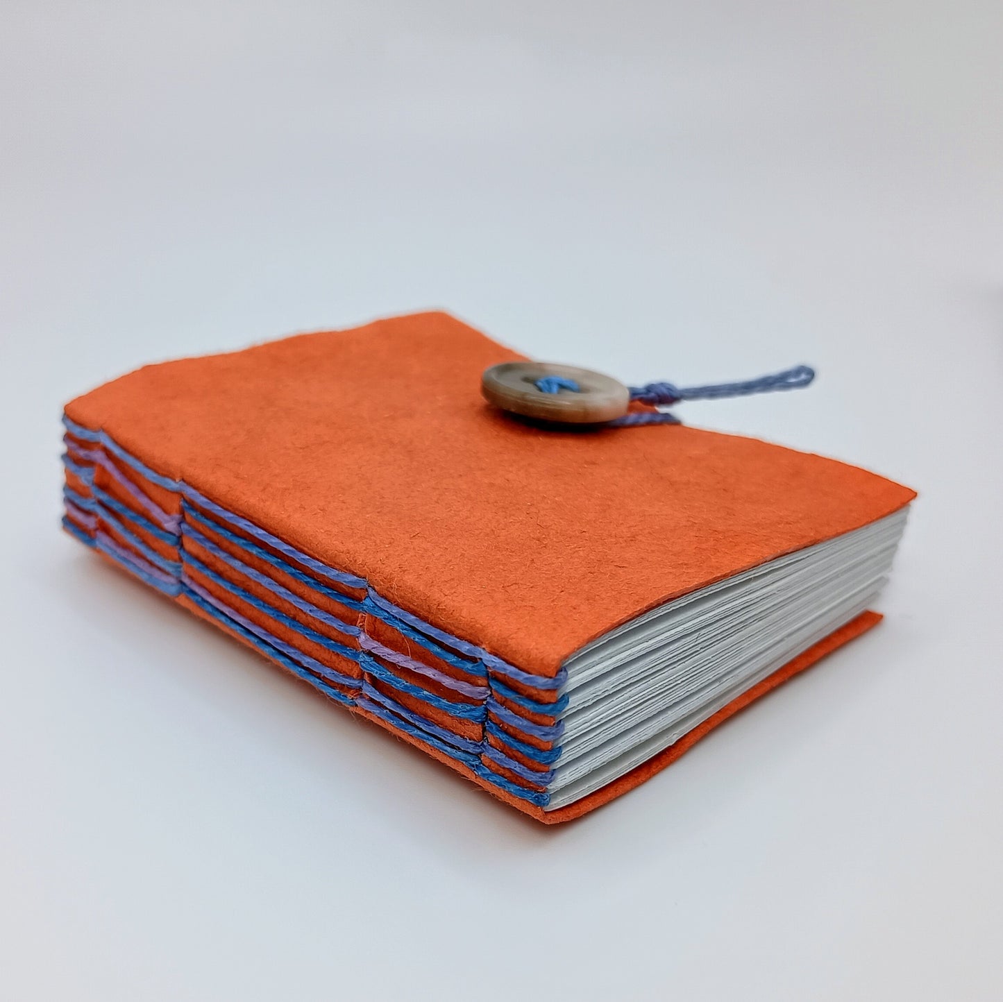 Miniature Colorful Blank Books