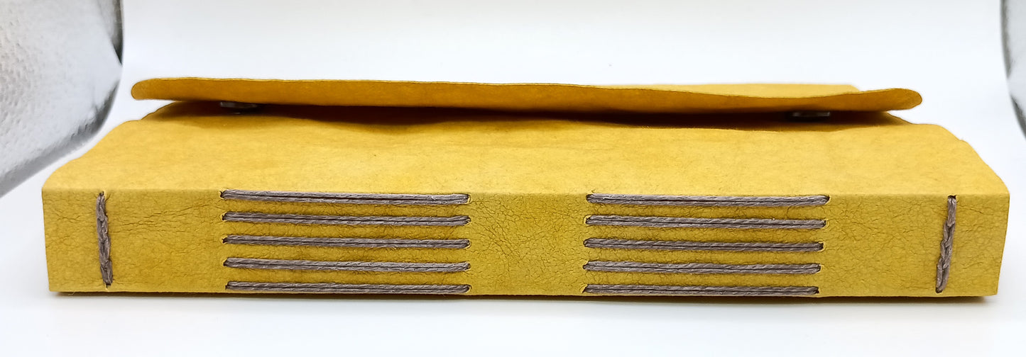Large Bullet Journals with Parchment